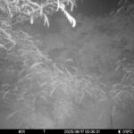 Jun 17 2025  0:00:31, #01