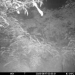 Jun 17 2025  3:00:30, #01