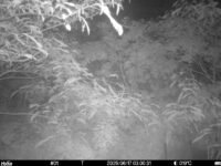 Jun 17 2025  3:00:30, #01