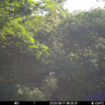 Jun 17 2025  6:00:31, #01
