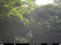 Jun 17 2025  6:00:31, #01