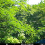 Jun 17 2025  9:00:32, #01