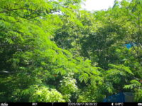 Jun 17 2025  9:00:32, #01