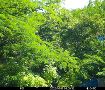 Jun 17 2025  9:00:32, #01
