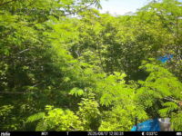 Jun 17 2025 12:00:31, #01
