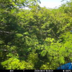 Jun 17 2025 15:00:31, #01