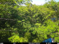 Jun 17 2025 15:00:31, #01