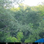 Jun 17 2025 18:00:32, #01
