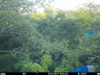 Jun 17 2025 18:00:32, #01