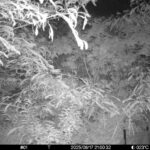 Jun 17 2025 21:00:32, #01