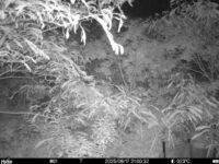 Jun 17 2025 21:00:32, #01
