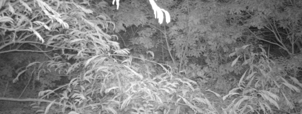 Jun 18 2025  0:00:30, #01