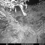 Jun 18 2025  0:00:30, #01