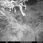 Jun 18 2025  3:00:31, #01