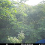 Jun 18 2025  6:00:31, #01