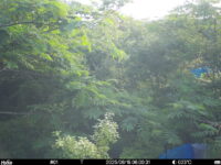 Jun 18 2025  6:00:31, #01