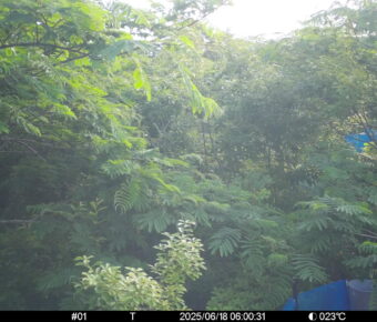 Jun 18 2025  6:00:31, #01