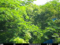 Jun 18 2025  9:00:32, #01