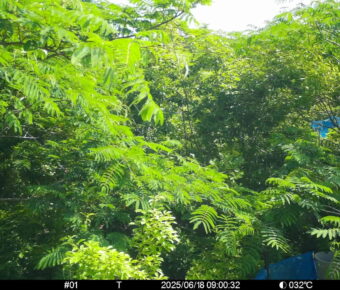 Jun 18 2025  9:00:32, #01