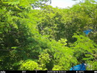 Jun 18 2025 12:00:31, #01