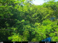 Jun 18 2025 15:00:31, #01