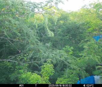 Jun 18 2025 18:00:32, #01