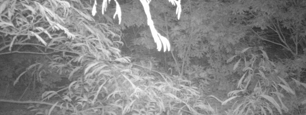 Jun 19 2025  0:00:30, #01
