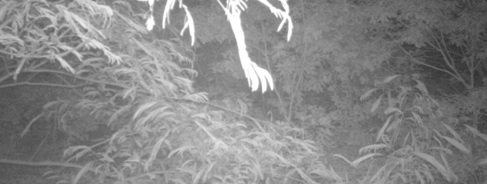 Jun 19 2025  3:00:31, #01