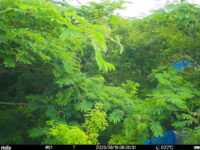 Jun 19 2025  6:00:31, #01