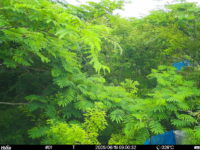 Jun 19 2025  9:00:32, #01