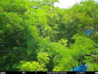 Jun 19 2025 12:00:32, #01