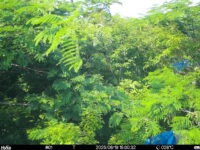Jun 19 2025 15:00:31, #01