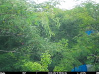 Jun 19 2025 18:00:32, #01