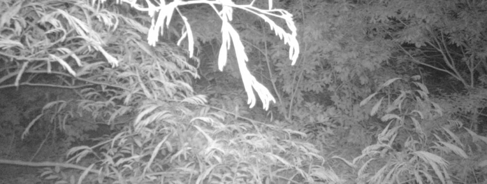 Jun 19 2025 21:00:32, #01