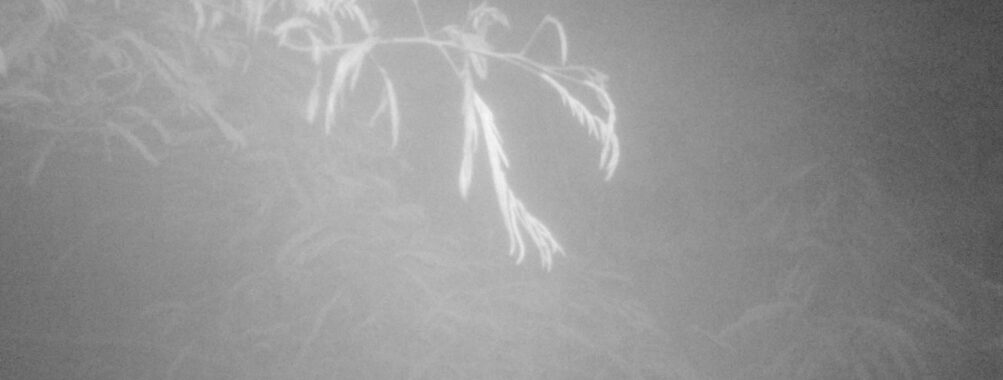 Jun 20 2025  0:00:30, #01