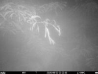 Jun 20 2025  0:00:30, #01