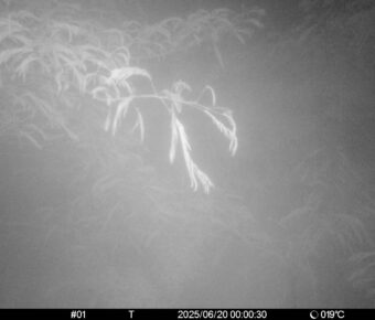 Jun 20 2025  0:00:30, #01