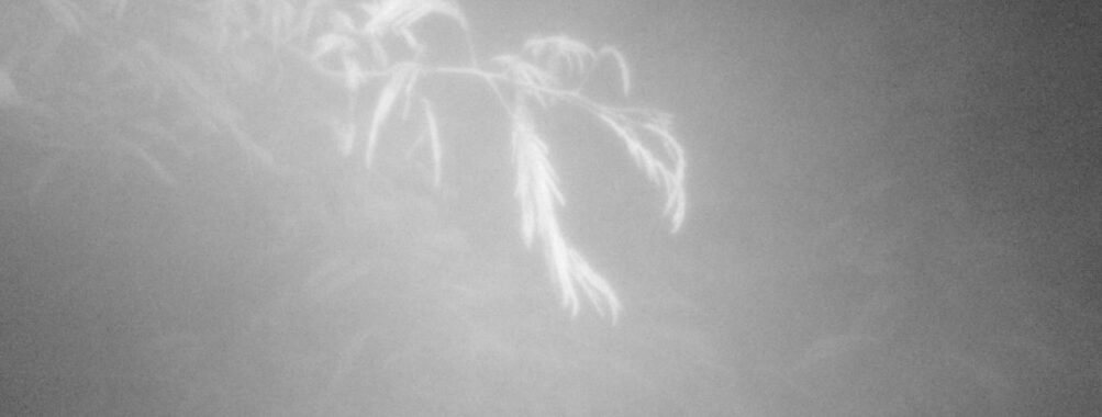 Jun 20 2025  3:00:31, #01