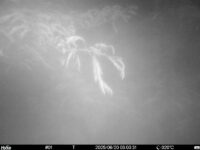 Jun 20 2025  3:00:31, #01