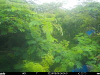 Jun 20 2025  6:00:31, #01