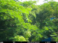 Jun 20 2025  9:00:32, #01