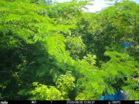 Jun 20 2025 12:00:31, #01