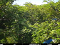 Jun 20 2025 15:00:31, #01
