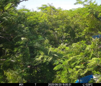 Jun 20 2025 15:00:31, #01