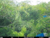 Jun 20 2025 18:00:32, #01