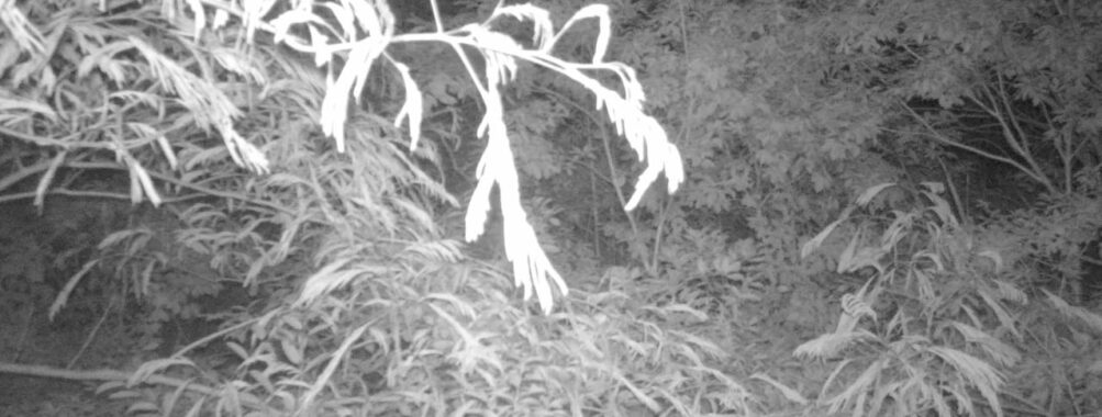 Jun 20 2025 21:00:32, #01