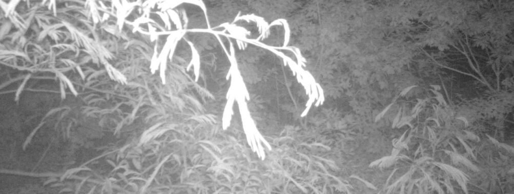 Jun 21 2025  0:00:30, #01