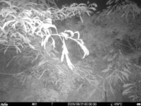 Jun 21 2025  0:00:30, #01