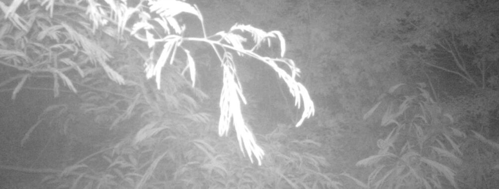 Jun 21 2025  3:00:31, #01