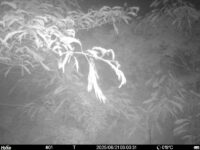 Jun 21 2025  3:00:31, #01